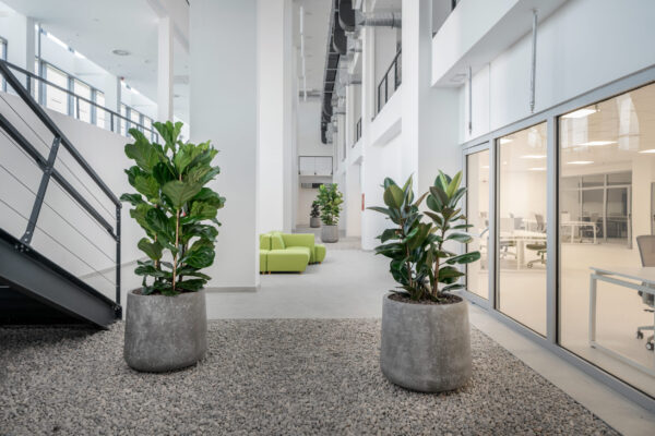 Split Technology Park opens